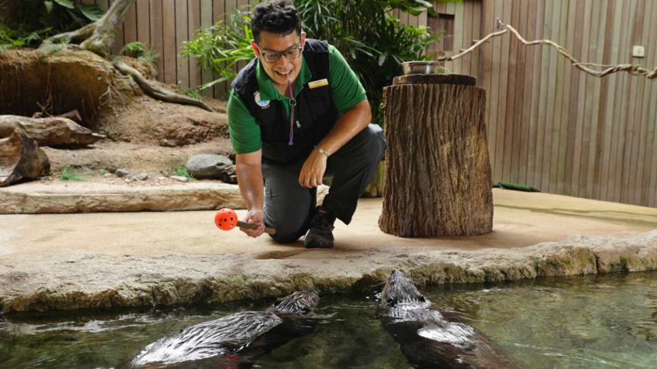 We care for people and wildlife