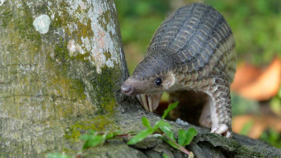 We leave a positive impact on nature and our future