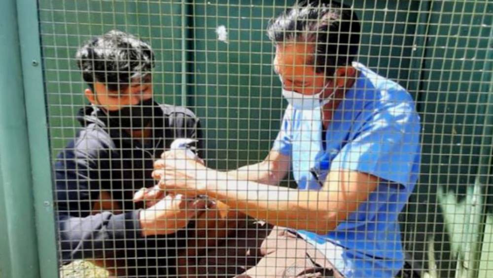 Saving Bali Mynas For Over 30 years