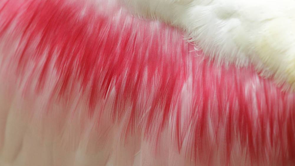 Feather Craze Spelt Doom