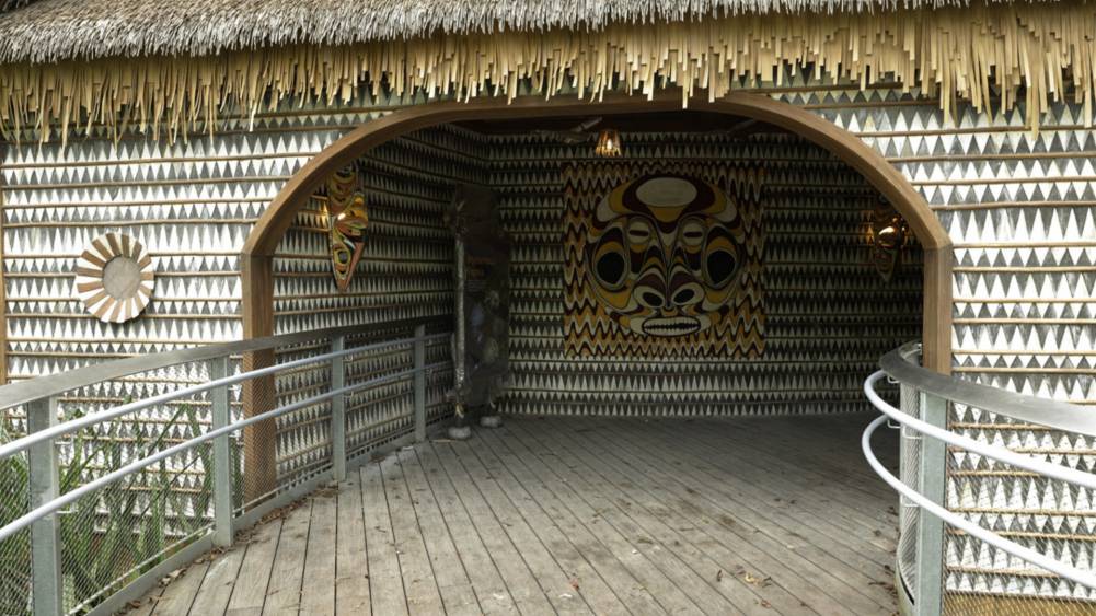 Explore the Coastal Forests of Lowland Papua