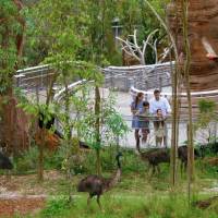 Shaw Foundation Australian Outback