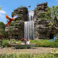 Hong Leong Foundation Crimson Wetlands