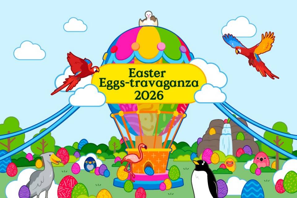Easter Eggs-travaganza