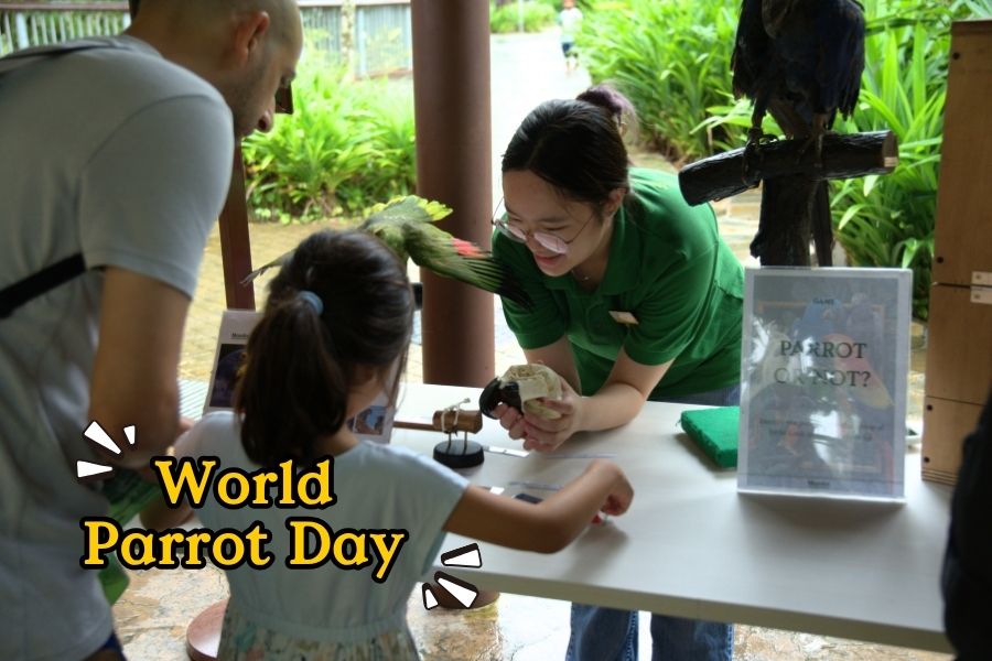 World Parrot Day