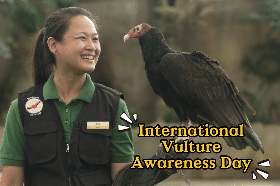Vulture Discovery Booth