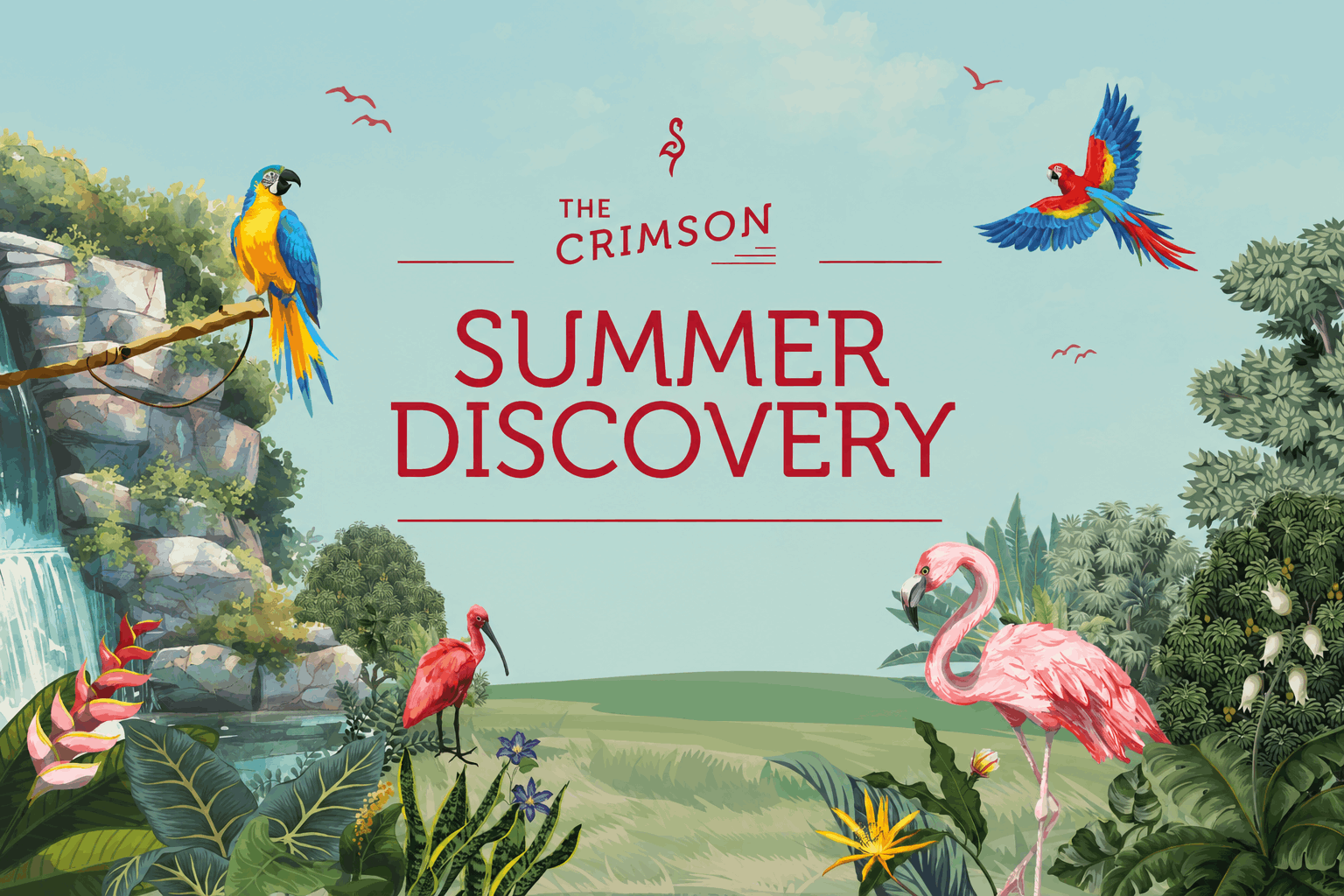 The Crimson Summer Discovery