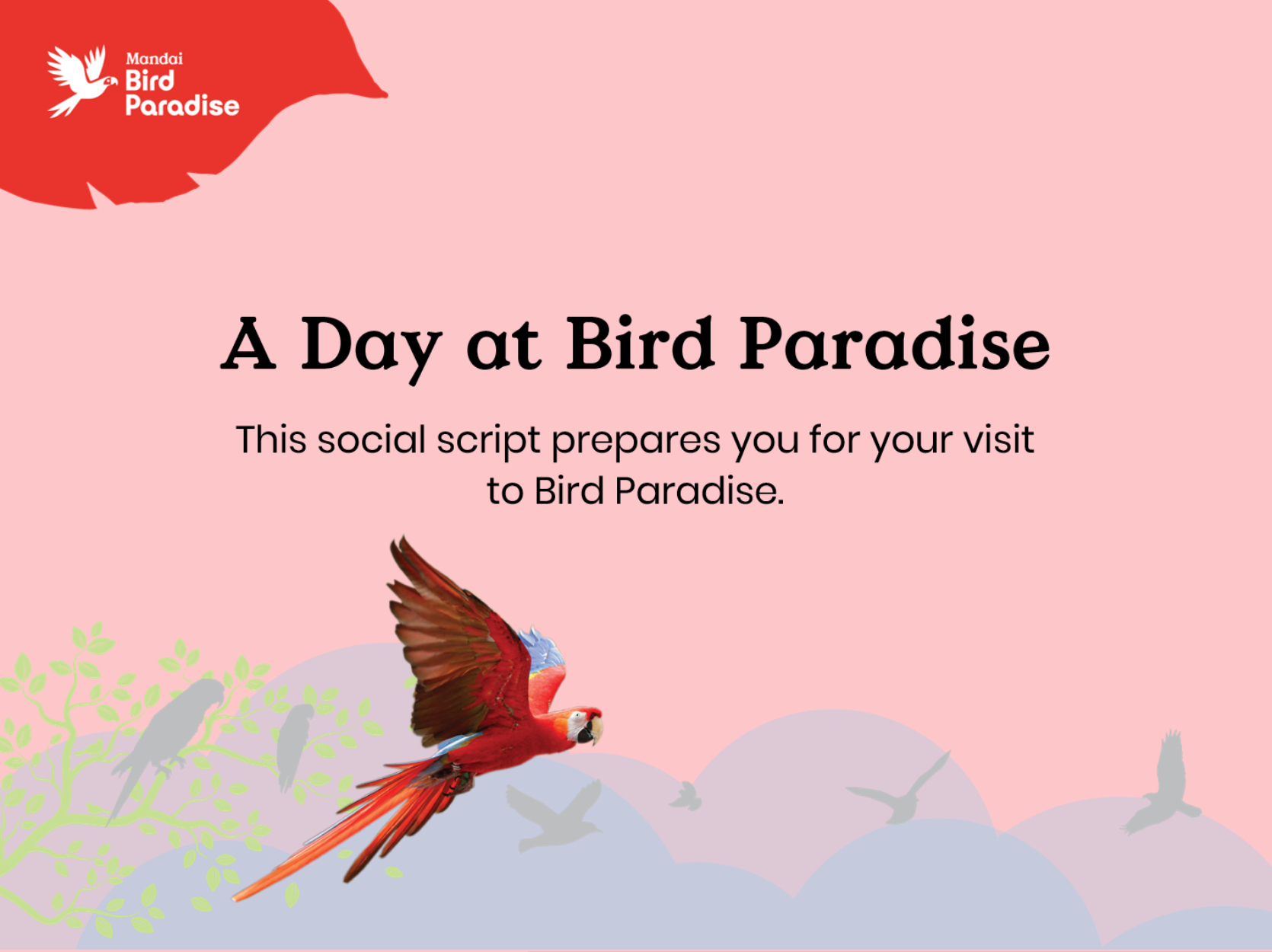 Bird Paradise Social Script Cover