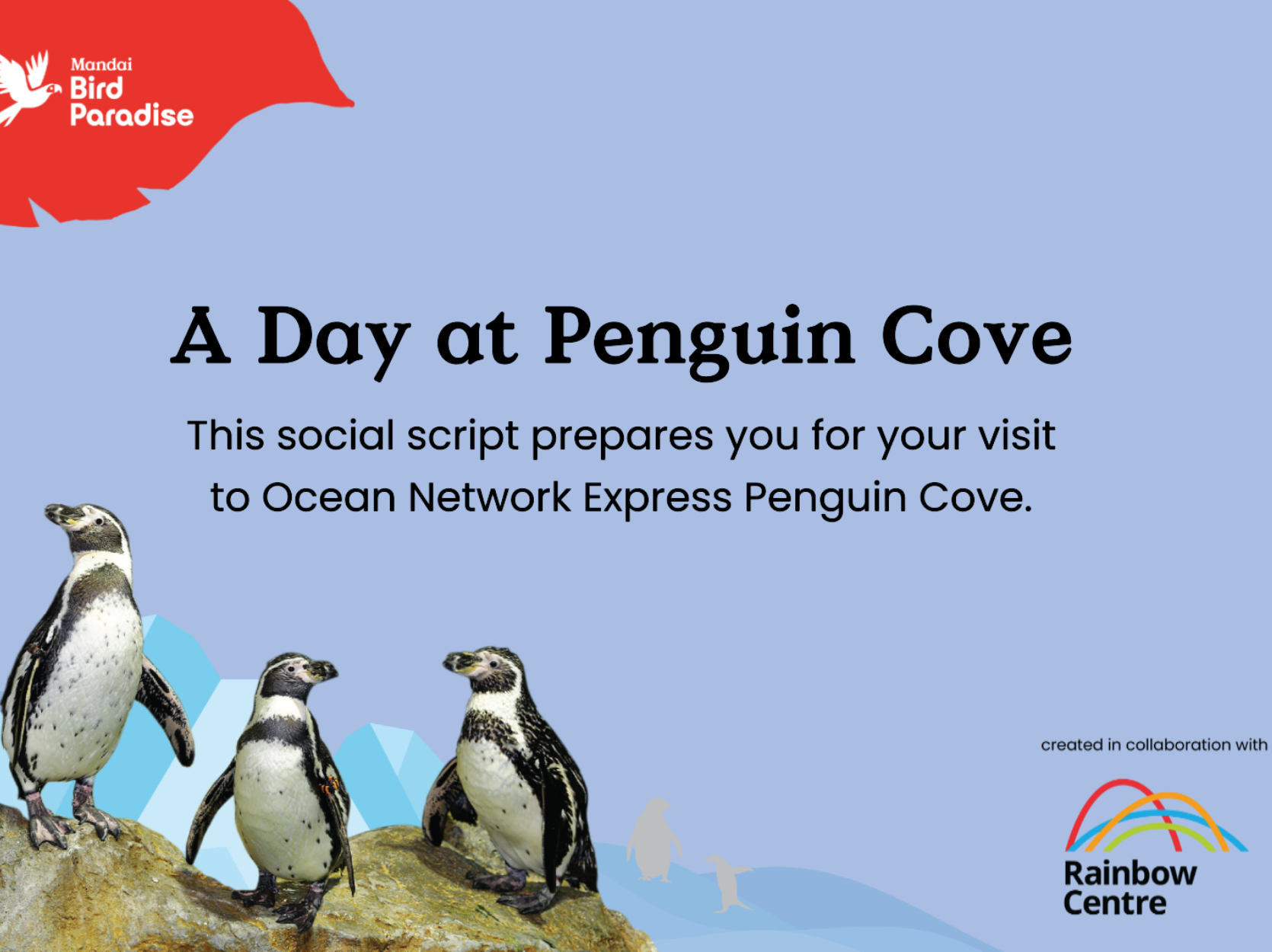 Penguin Cove Social Script Cover