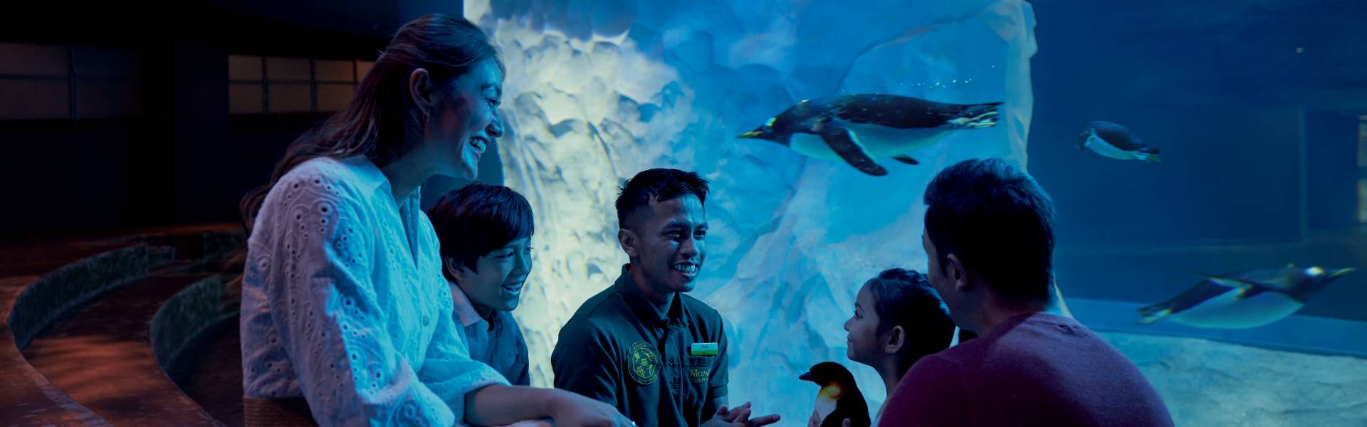 Keeper Talk at the Ocean Network Express Penguin Cove, Bird Paradise