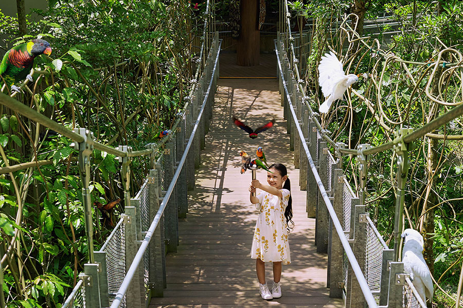 /content/dam/mandai/bird-paradise/things-to-do/feed-the-animals/lory-feeding-900x600.jpg