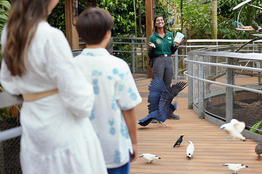 Keeper Talks Bird Paradise