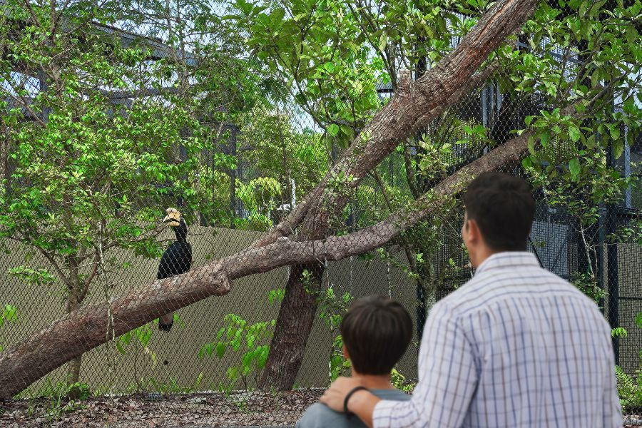 /content/dam/mandai/bird-paradise/things-to-do/keeper-talks/winged-sanctuary-keeper-talk-900x600.jpg
