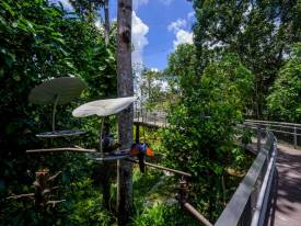 Do not feed the animals