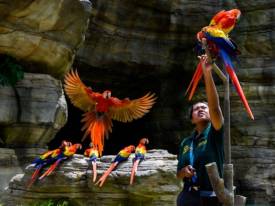 Respect the boundaries