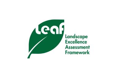 Awards And Accolades