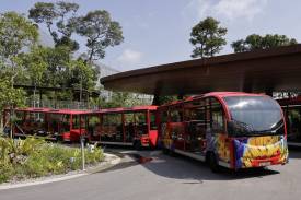 Sustainable Operations