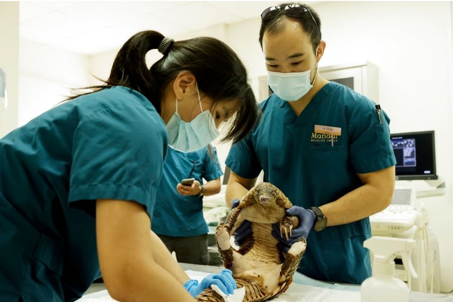 Top-up for Conservation