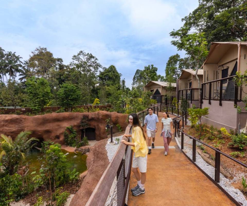 Crocodile Lodge