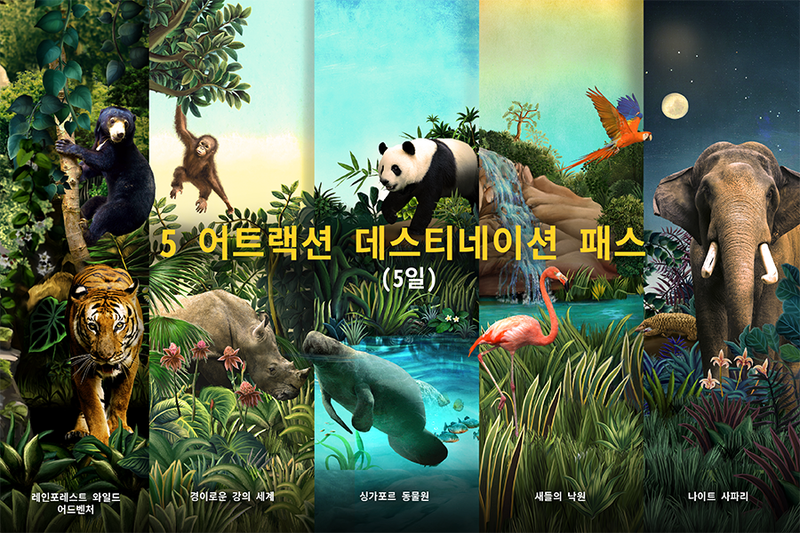 5 어트랙션 데스티네이션 패스 (5일)