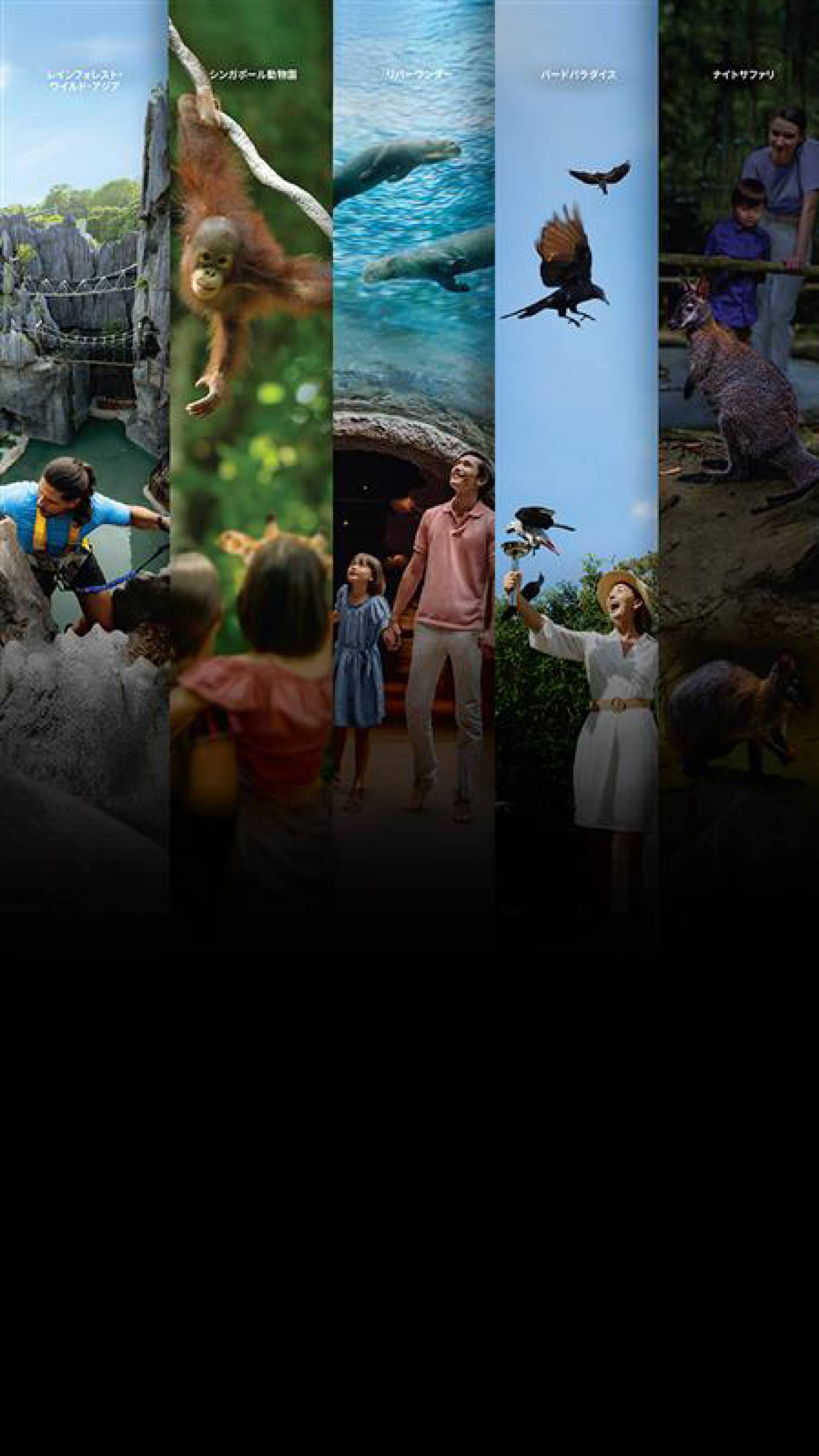 デスティネーションパス 