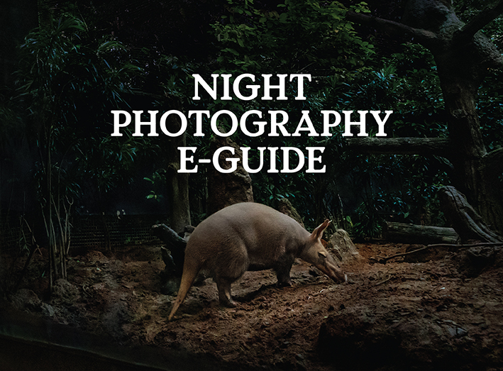 Night Photography E-Guide