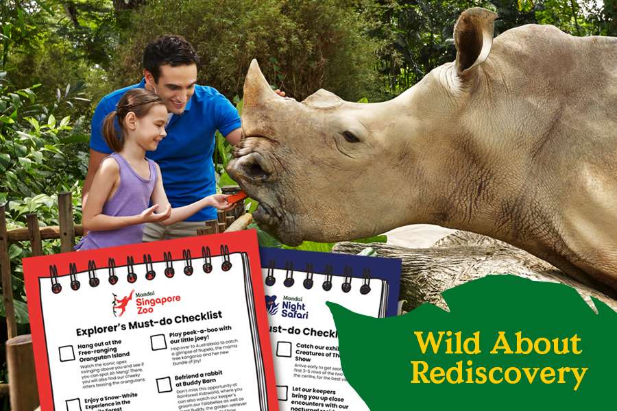 Image 71: Singapore Zoo Itinerary