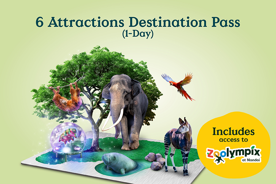 6 Attractions Destination Pass (1-Day)