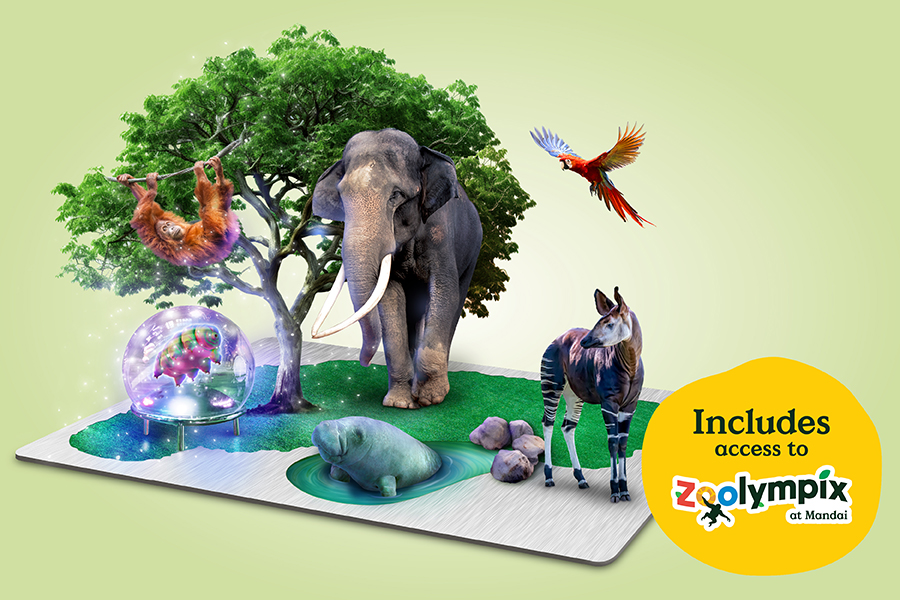 6 Attractions Destination Pass (1-Day)