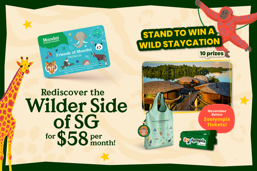 Friends of Mandai Premium card, a tote bag and Zoolympix tickets, with a chance to win a Mandai Rainforest Resort staycation