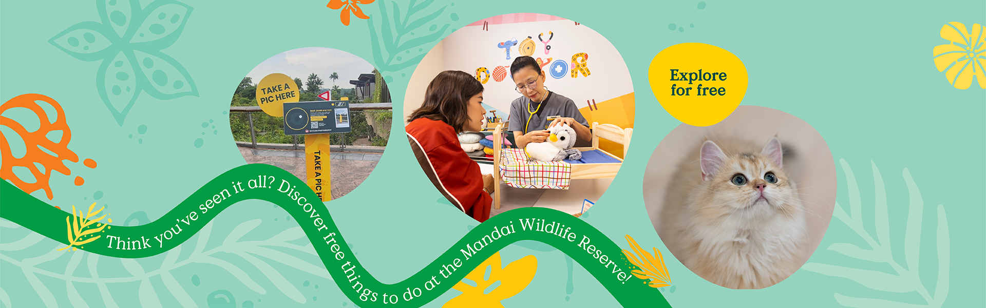 How well do you really know Mandai Wildlife Reserve? Most visitors think of the five wildlife parks, but within our public spaces that are free to access by anyone, you’ll find a whole other world waiting to be explored. 