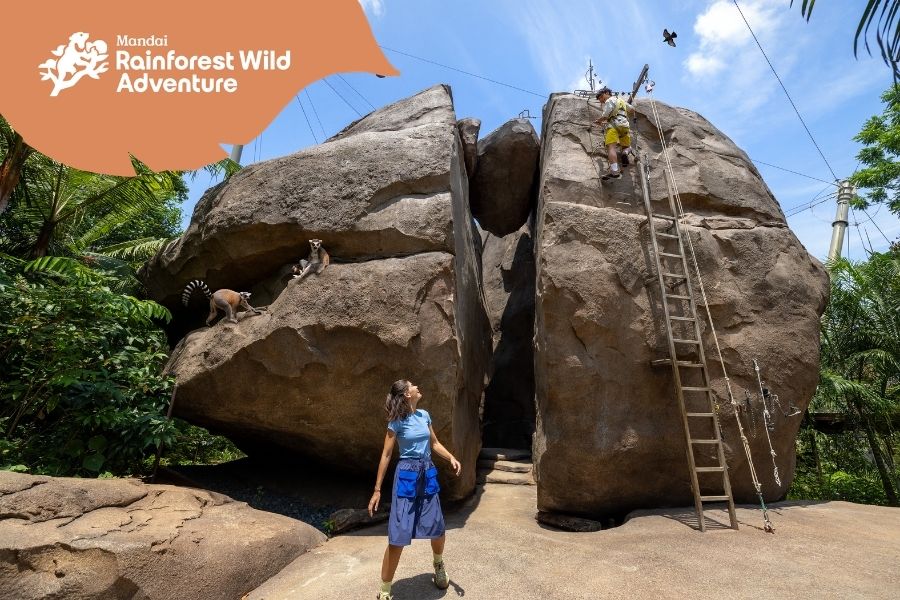 Choose Your Wild