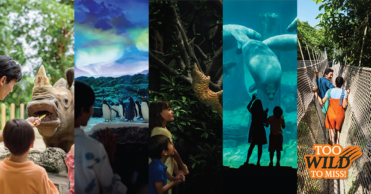 Too Wild to Miss at Singapore Zoo Mandai Wildlife Reserve