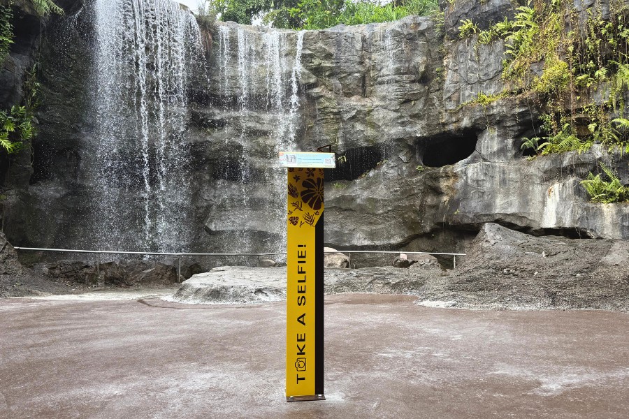 Show off your DIY selfie skills! Locate our selfie photo stations at various iconic and scenic spots across Bird Paradise and Mandai Wildlife WEST.