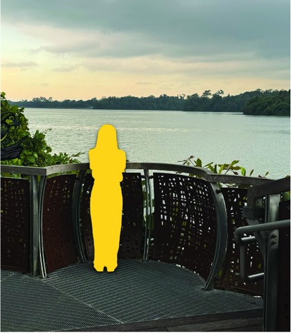 Mandai Boardwalk - Iora's Nest
