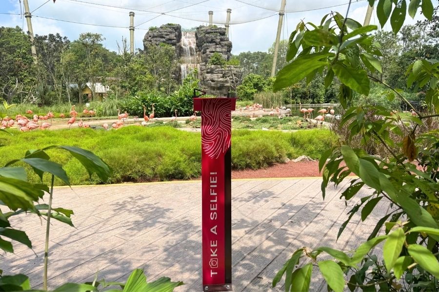 Show off your DIY selfie skills! Locate our selfie photo stations at various iconic and scenic spots across Bird Paradise and Mandai Wildlife WEST.