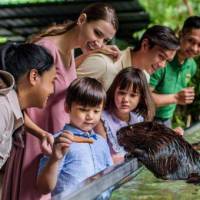 River Discovery Tour