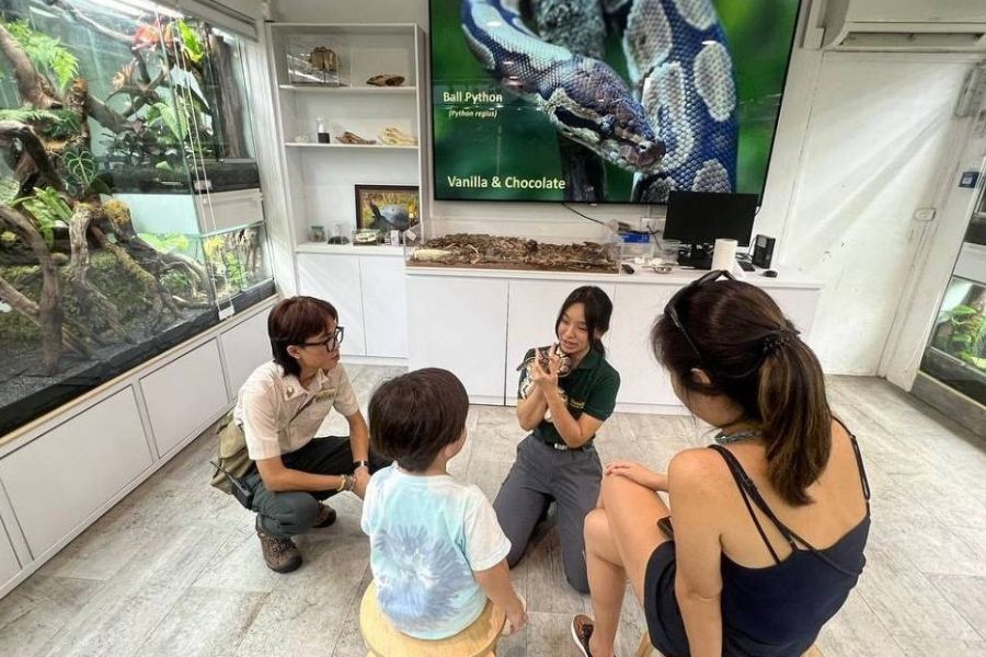 Image for Backstage Pass: Reptopia