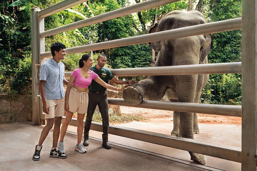 Memberships | Mandai Wildlife Reserve