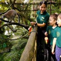 体验一日饲养员
