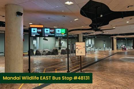 Mandai Transport Hub EAST Bus Bay