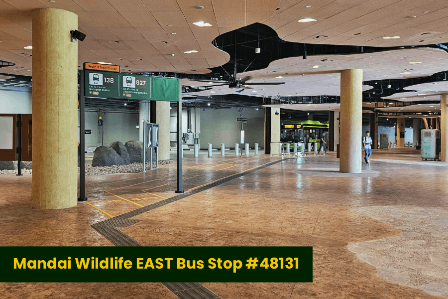 Mandai Wildlife EAST Bus Stop 48131