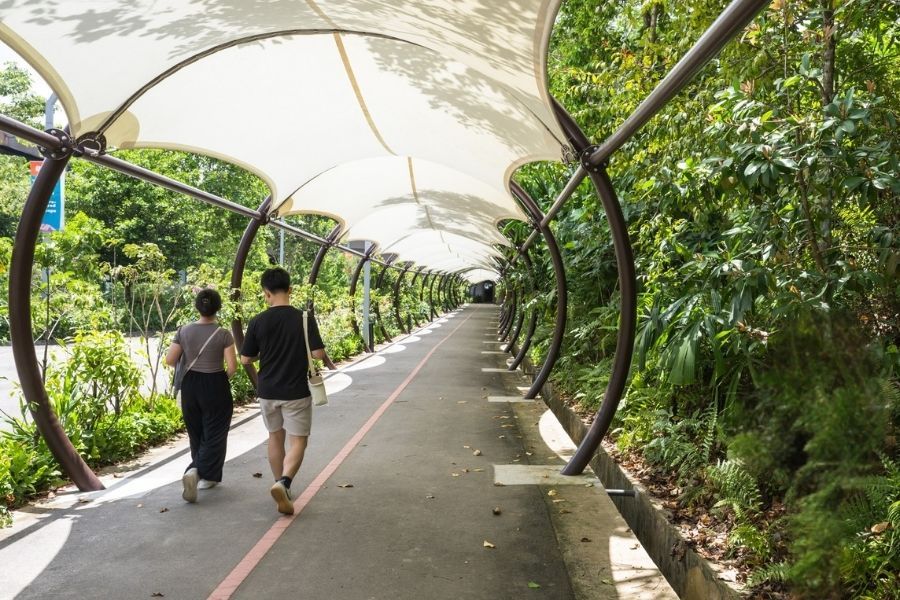 /content/dam/mandai/destination/transport/walk-and-cycle-path-900x600.jpg