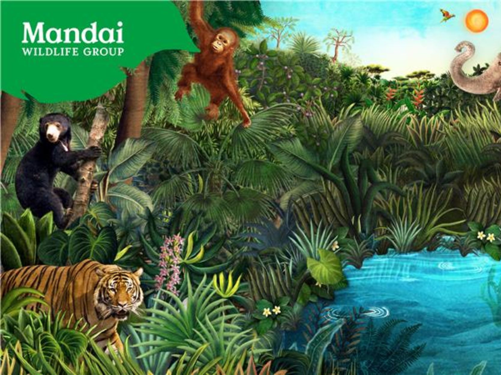 Mandai wildlife illustration