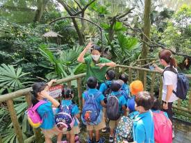 Facilitated Experience