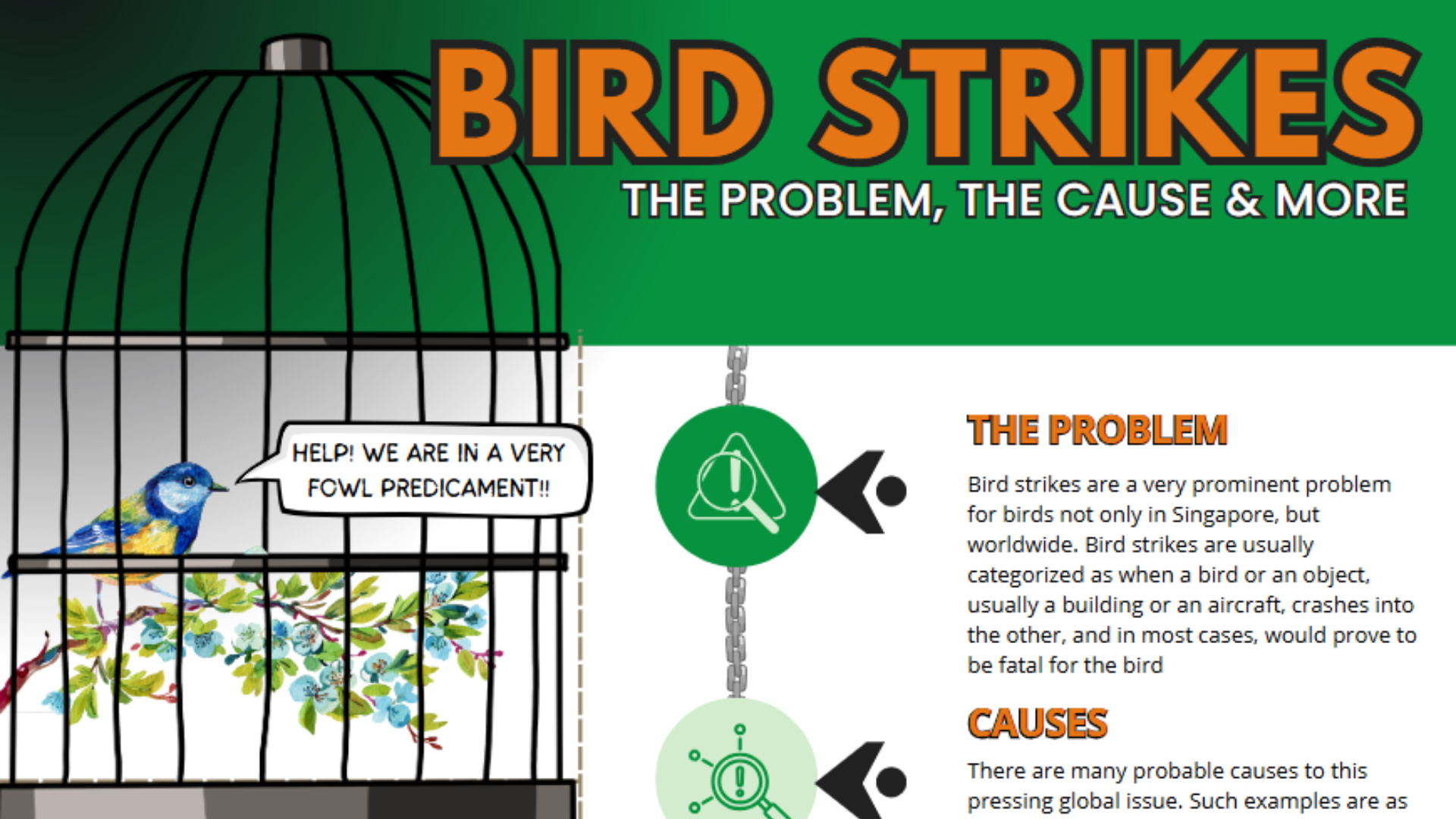 reducing bird strikes