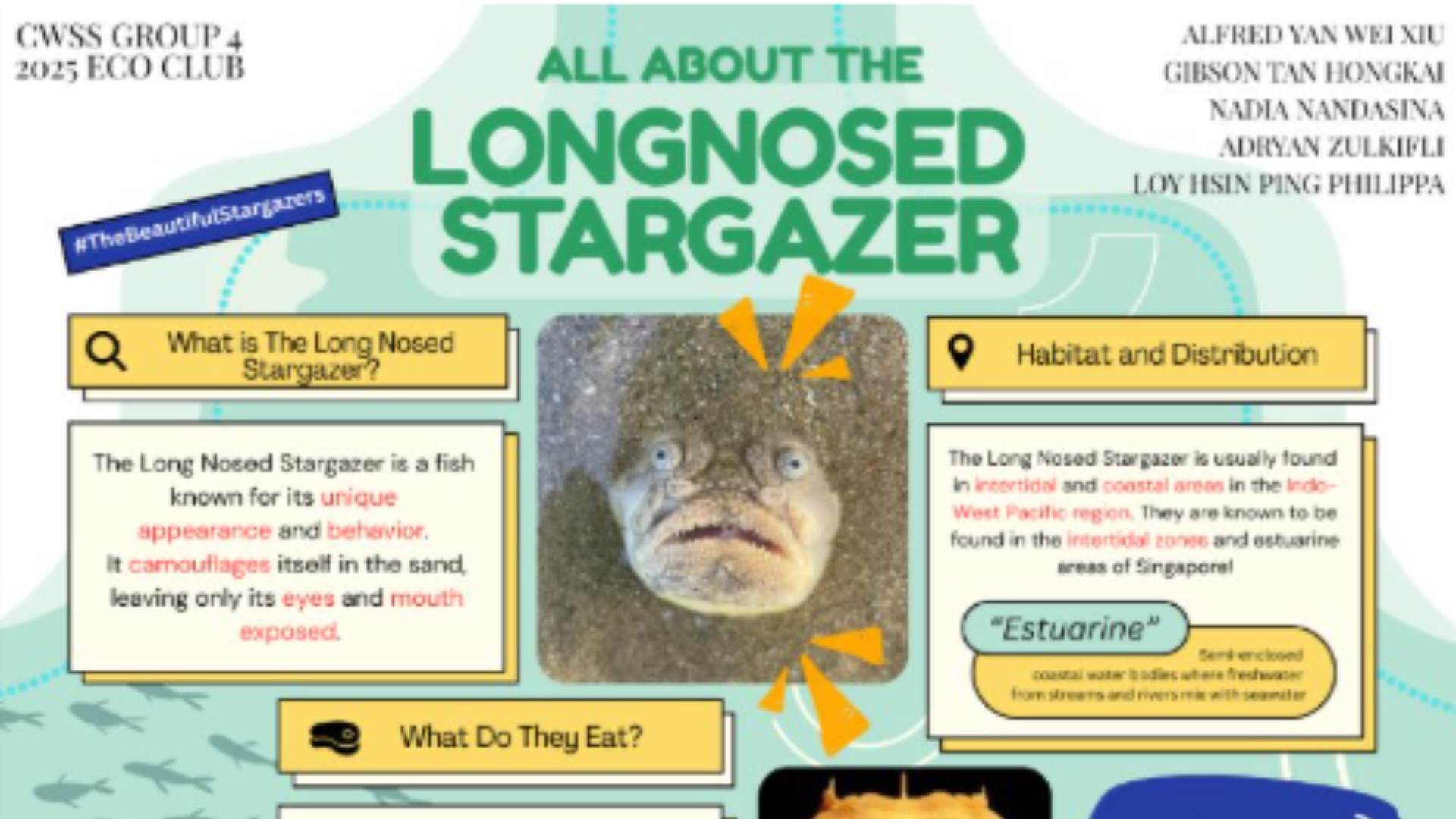 Hidden Hunters: The Mysterious Long Nosed Stargazers