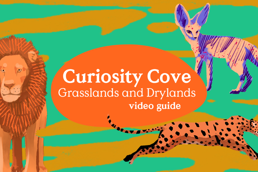 Video Guide: Curiosity Cove – Grasslands & Drylands