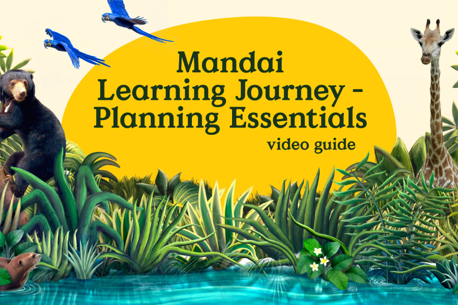 Video Guide – Easy Steps to Plan Your Learning Journey to Mandai