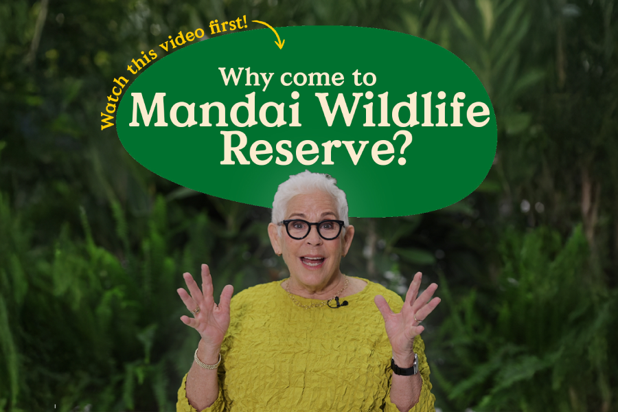 Nature and Animals As Teachers : An Educator’s Guide